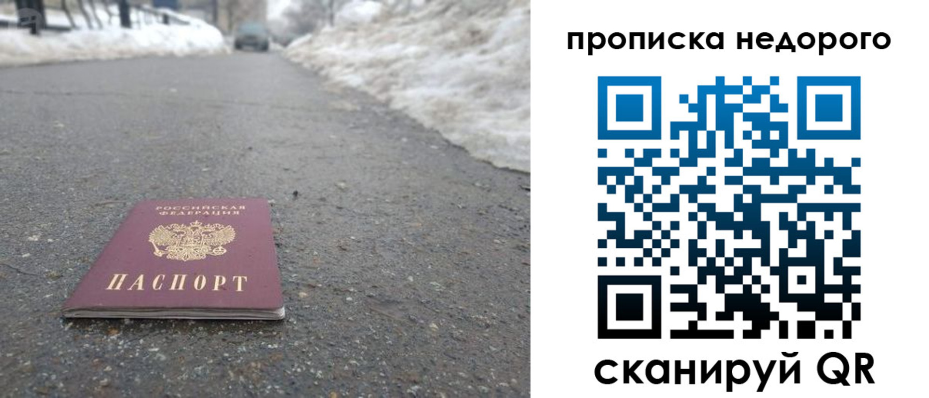 прописка в Полярных Зорях